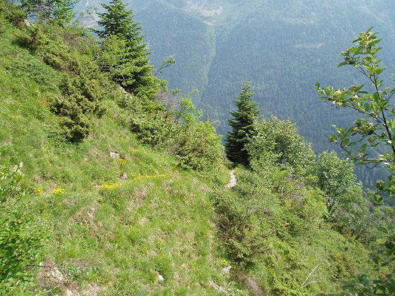 Youri - Ecrins 2005 403 